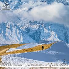 Cold Desert
